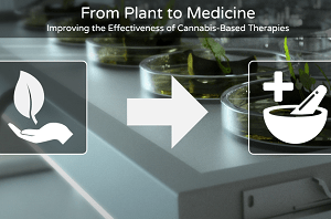 Plant to Medicine LinkedIn